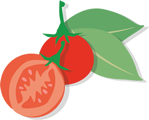 Pomidor 404